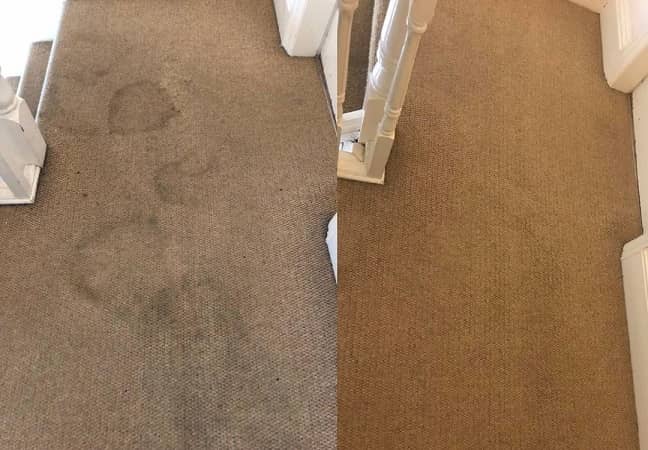 lavado de alfombras a domicilio
